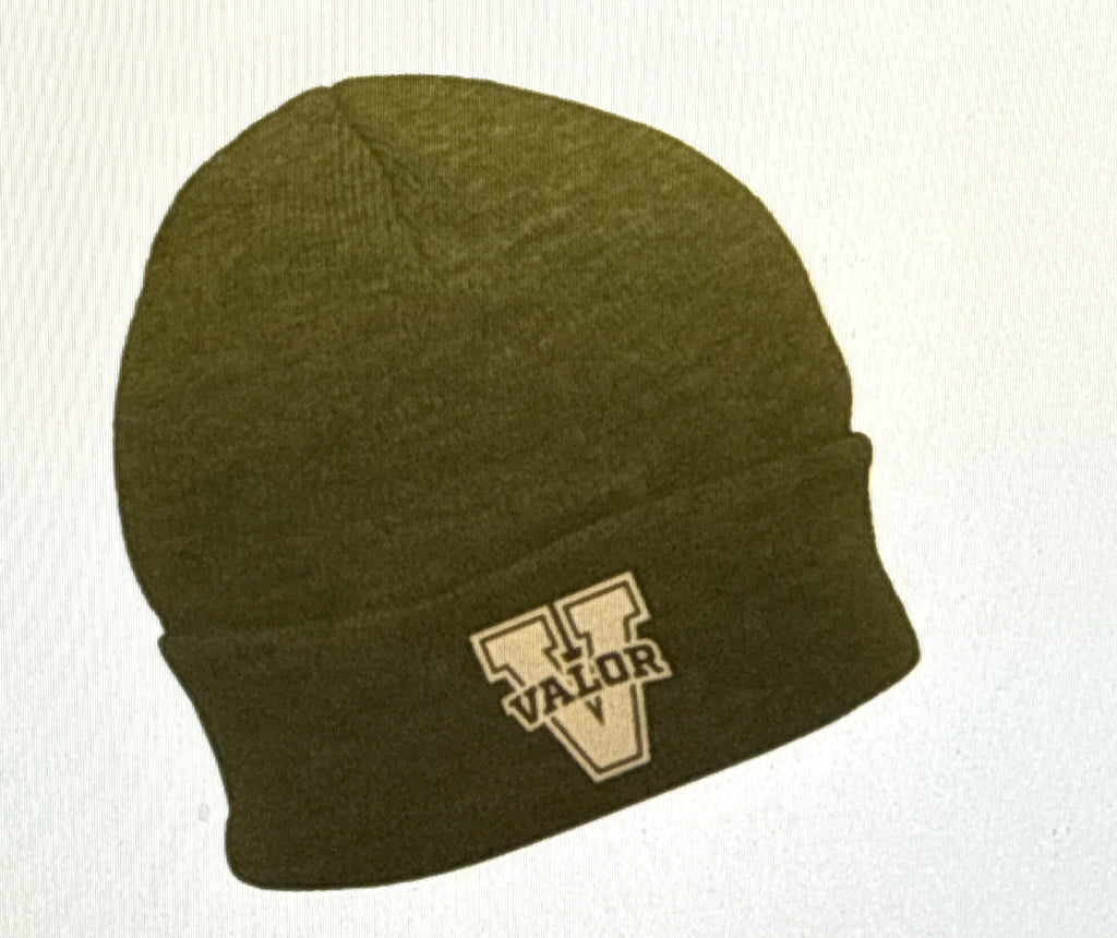 Salute to Service Inspired Beanie