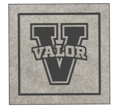 Jack and Sage Quilted 1/4 Button Up