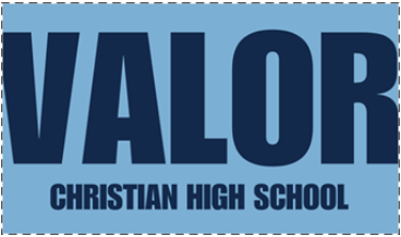 removable VCHS decal - small