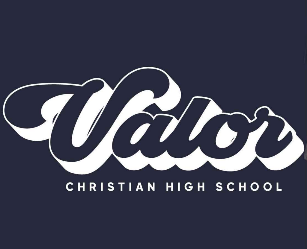 MV Flocked Tee - womens navy