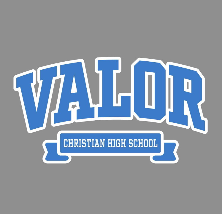 Womens Chenille Applique