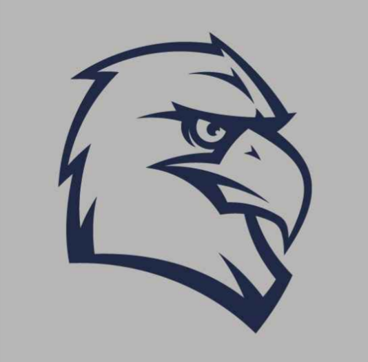 Hoodie Sweatshirt Poncho MV - Glitter