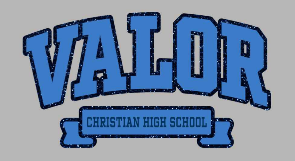 Hoodie Sweatshirt Poncho MV - Glitter