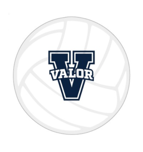 4" Valor Foam Volleyball
