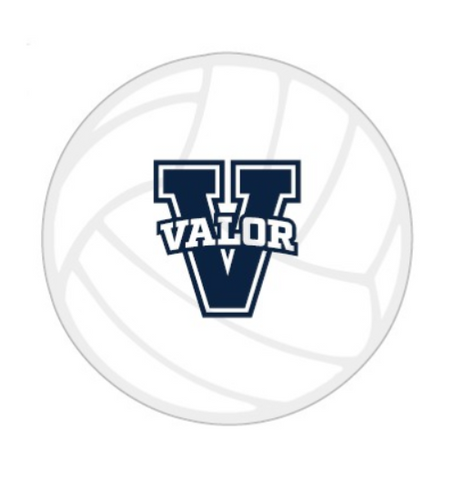 4" Valor Foam Volleyball